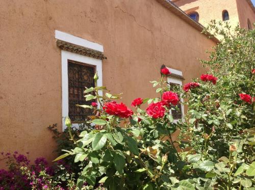 Riad Timadrouine