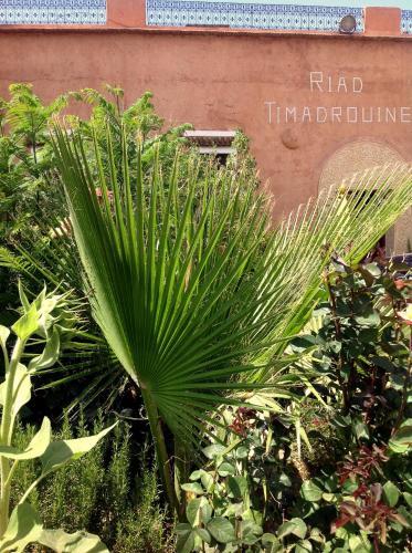 Riad Timadrouine