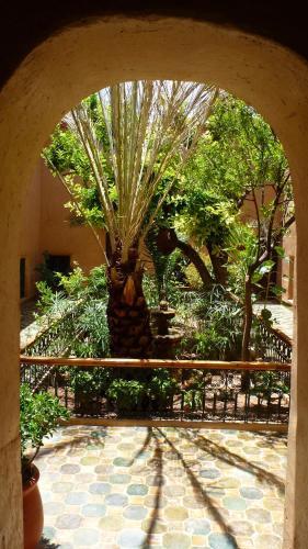 Riad Timadrouine