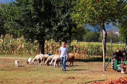 Agroturismo Pericle