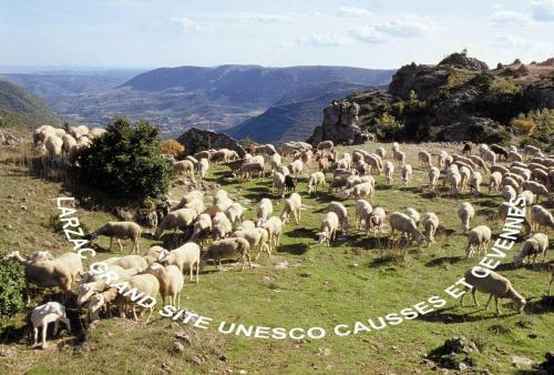 Bed & Breakfast Villa Escandorgue