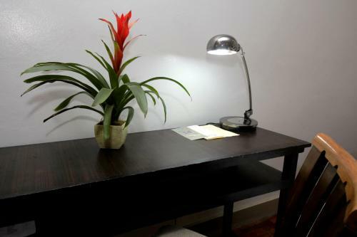 Hotel Casa Pura Inn And Suites