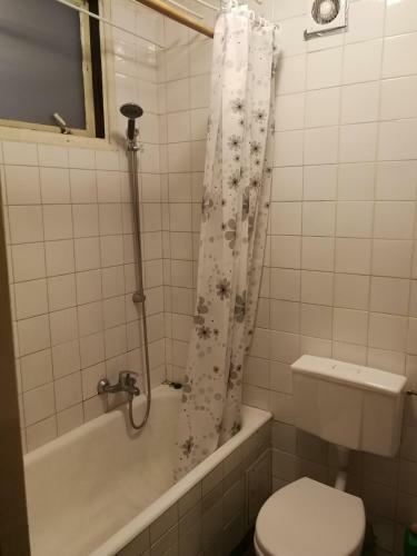 Hostel Tolek