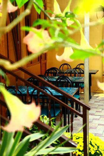 Hostal Guest House Alyans