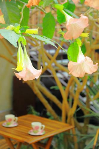Hostal Guest House Alyans