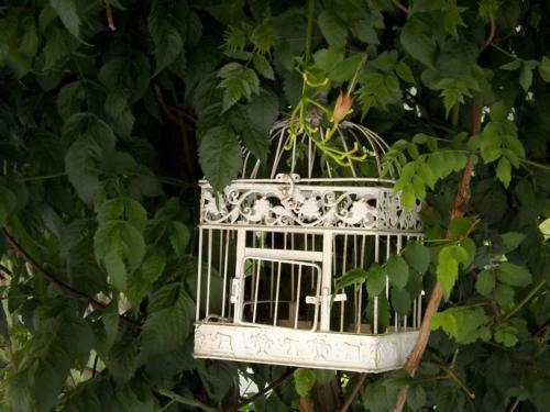 Bed & Breakfast I Due Noci