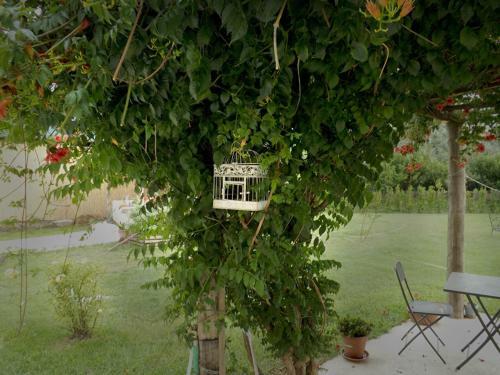 Bed & Breakfast I Due Noci