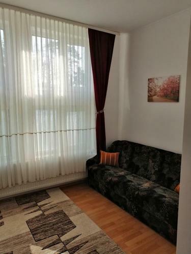 Hostal Casa Pintea