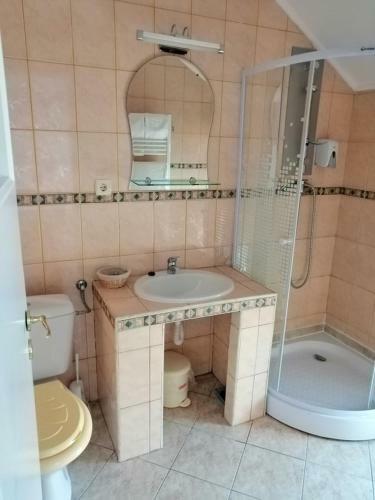 Hostal Casa Pintea