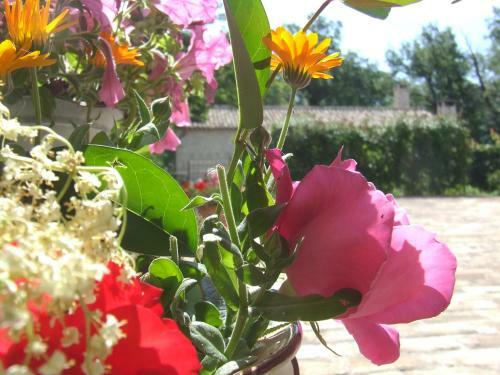Agroturismo Country House Case Catalano
