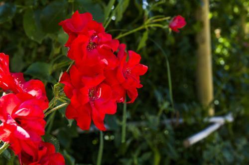 Agroturismo Country House Case Catalano