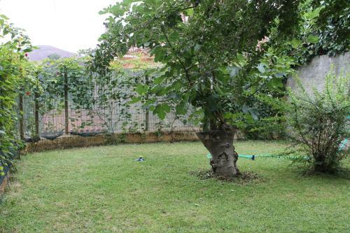 Quinta Da Alameda