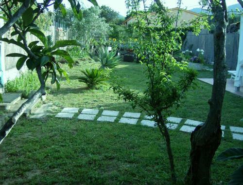 Bed & Breakfast Free Zone