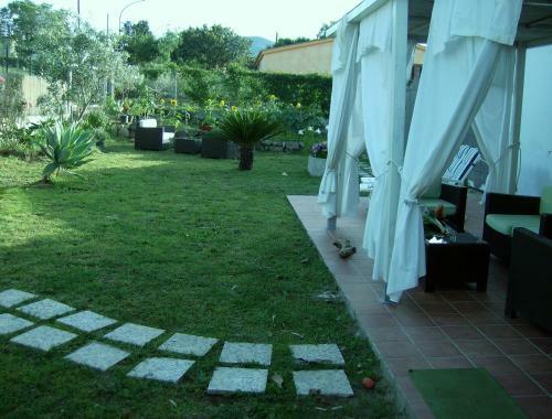 Bed & Breakfast Free Zone