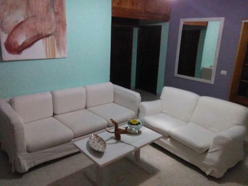 Bed & Breakfast Free Zone