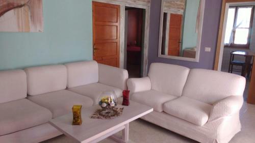 Bed & Breakfast Free Zone