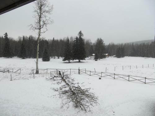 Hotel Black Cat Guest Ranch