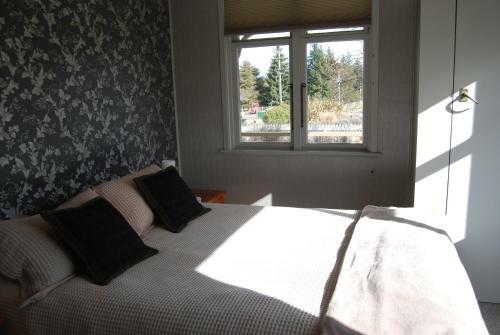 Judge Rock Exclusive Vineyard Cottage Accommodation
