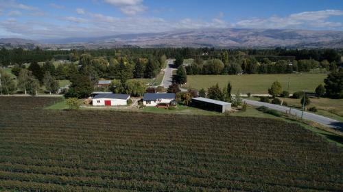 Judge Rock Exclusive Vineyard Cottage Accommodation