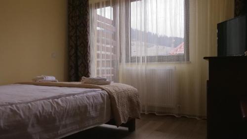 Hostal Pension Musatinii