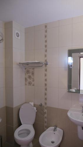 Hostal Pension Musatinii