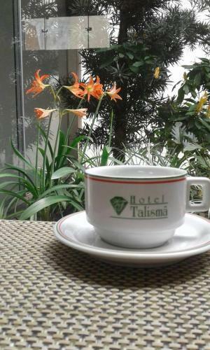 Hotel Talism�