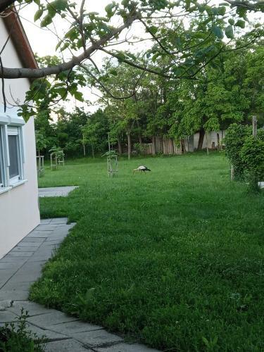 T�nd�rr�zsa Vend�gh�z �s Apartman