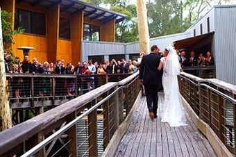 Hotel Paperbark Camp