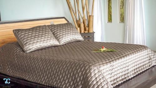 Hotel Vista Celestial