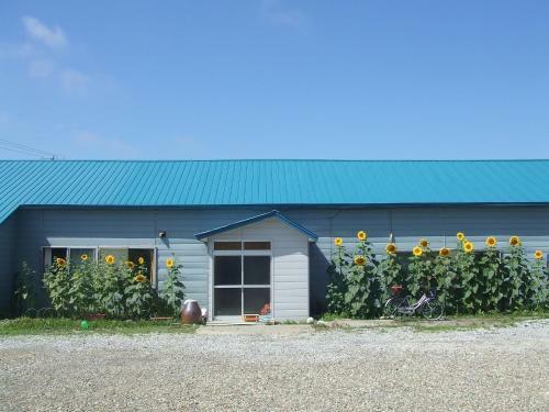 Hostal Guest House Nisshin