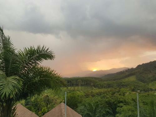 Khaosok Discovery Boutique Camps