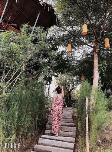 Khaosok Discovery Boutique Camps