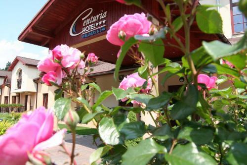 Hotel Centuria