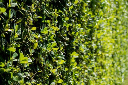 Hostal Villa Moni