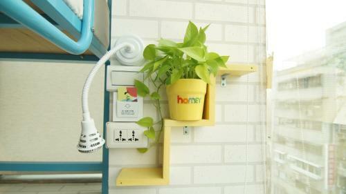 Homey Hostel