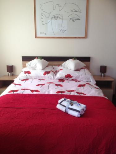 Apartament Bella Nova Centrum