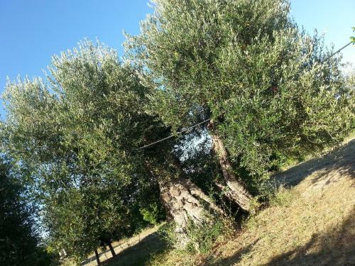 Hostal Masseria Marico