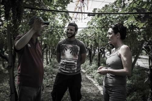 Hostal Masseria Marico