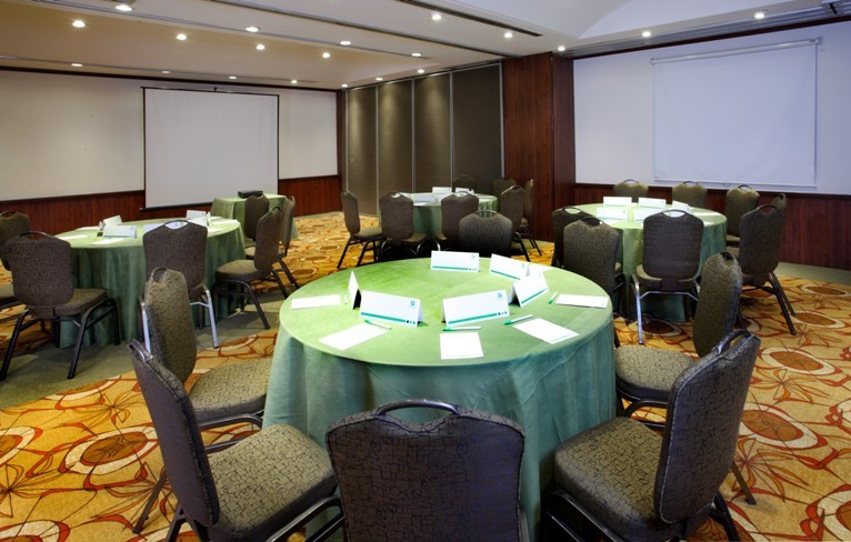 Hotel Holiday Inn Ciudad De M�xico Trade Center