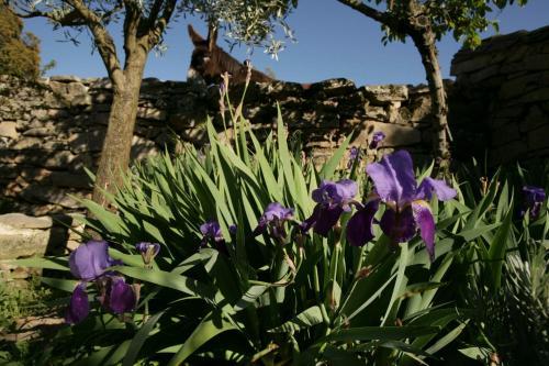 Agroturismo La Casa De Los Arribes