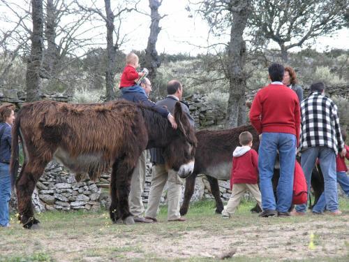 Agroturismo La Casa De Los Arribes