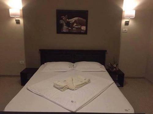 Hostal Pensiunea Violeta