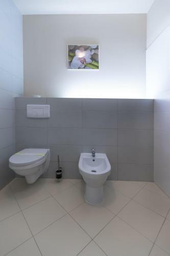 Hostal Pensiunea Violeta