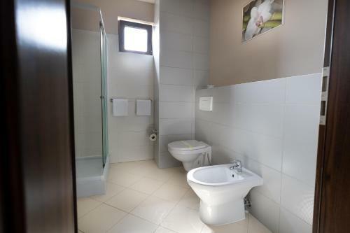 Hostal Pensiunea Violeta