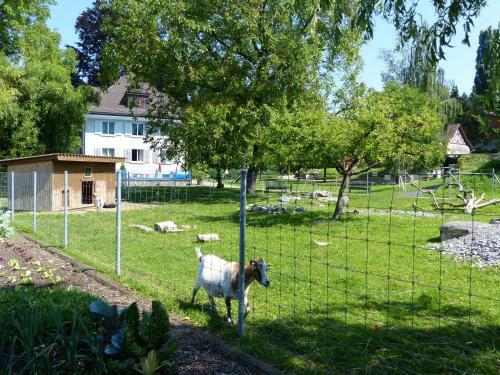 Hostal G�stehaus Nidelbad