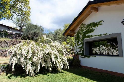 Bed & Breakfast Domus Verdiana