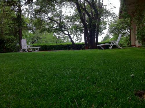 Bed & Breakfast Domus Verdiana