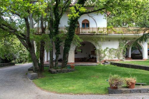 Bed & Breakfast Domus Verdiana