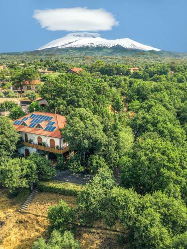 Bed & Breakfast Domus Verdiana