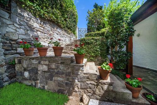 Holiday Home Contessa